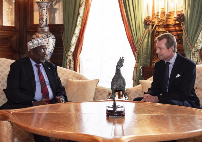 Le Grand-Duc échange avec le président du parlement somalien
