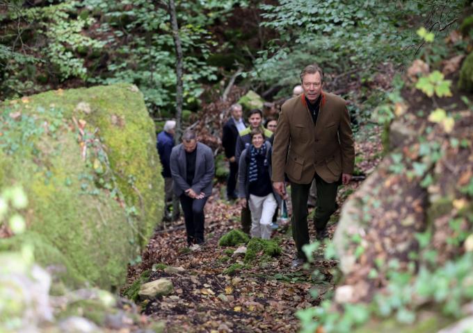 Le Grand-Duc marche dans la forêt