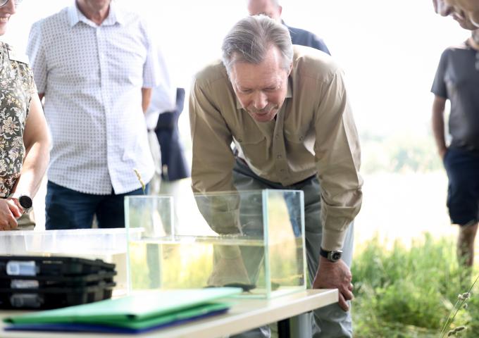 Visite de la mare "Laangt Muer" après sa renaturation
