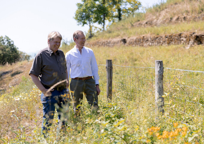 Visite de réserves naturelles de la Fondation "Hëllef fir d'Natur" - Flaxweiler et Wormeldange