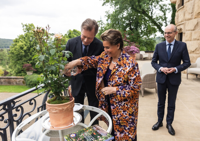 Baptême de la Rose "Résilience"